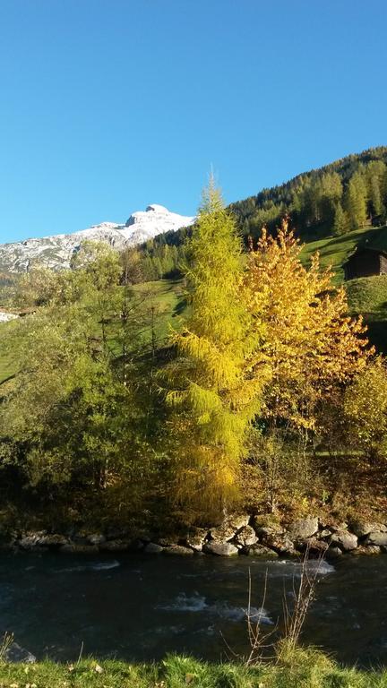 Apartamento Haus Harbauer Neustift im Stubaital Exterior foto