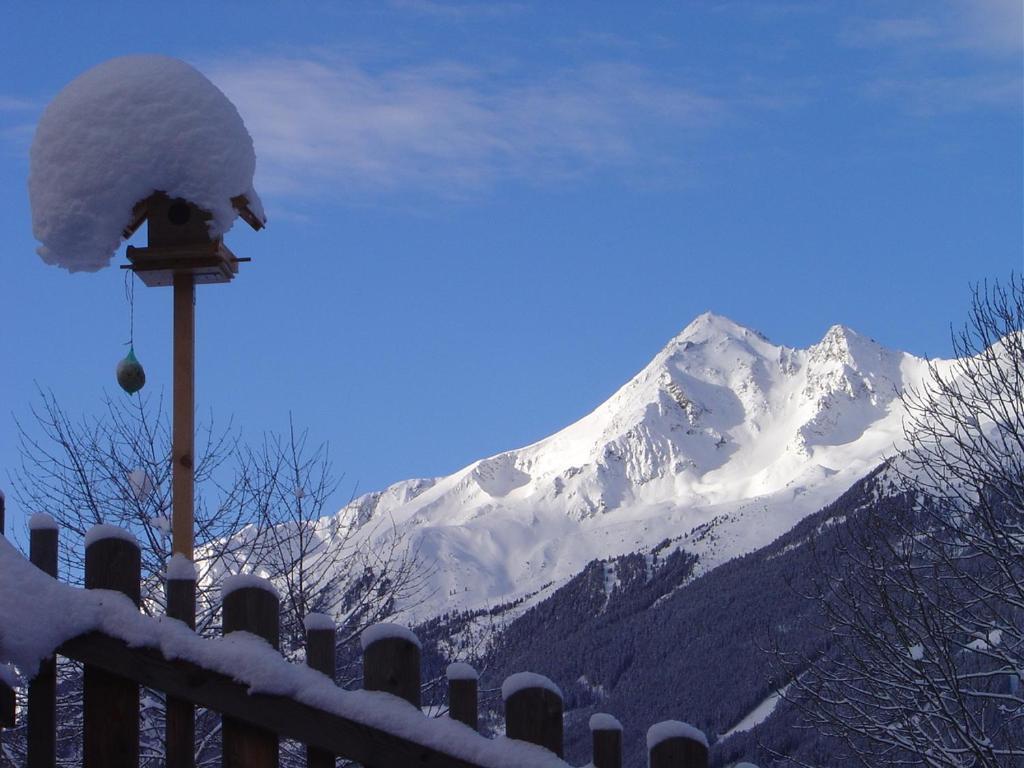 Apartamento Haus Harbauer Neustift im Stubaital Exterior foto